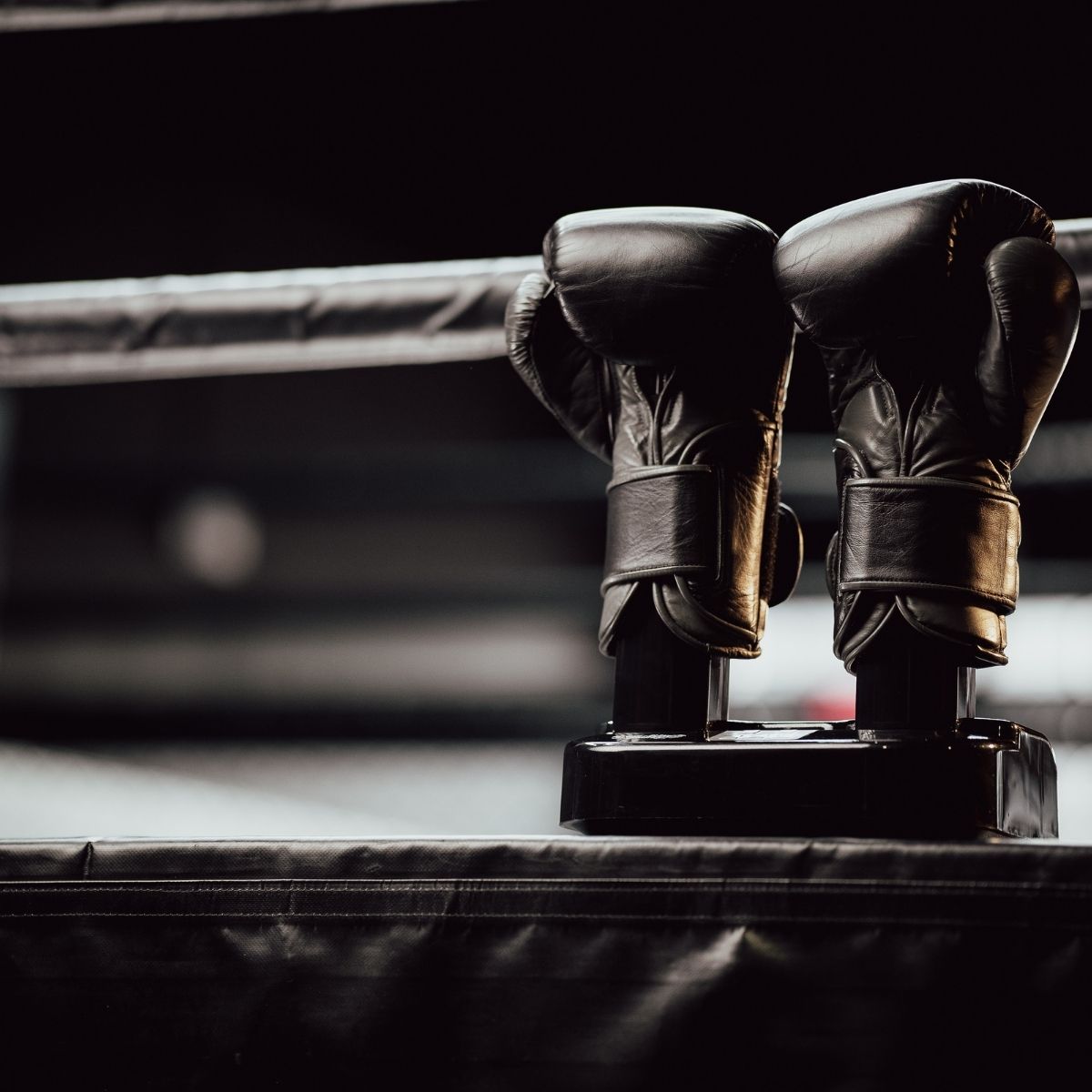 The Glove Purifier UK Plug Type with Thermal Heating and O3-Enabled Active Technology Designed to Preserve Boxing Gloves