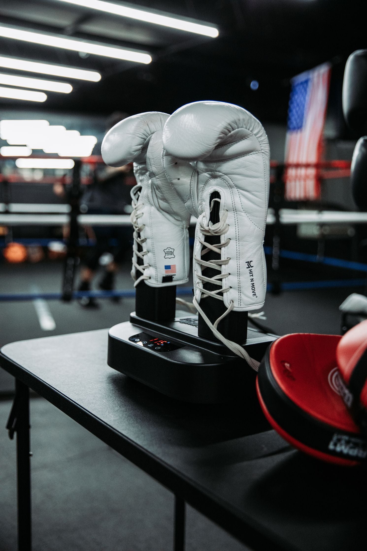 The Glove Purifier V2